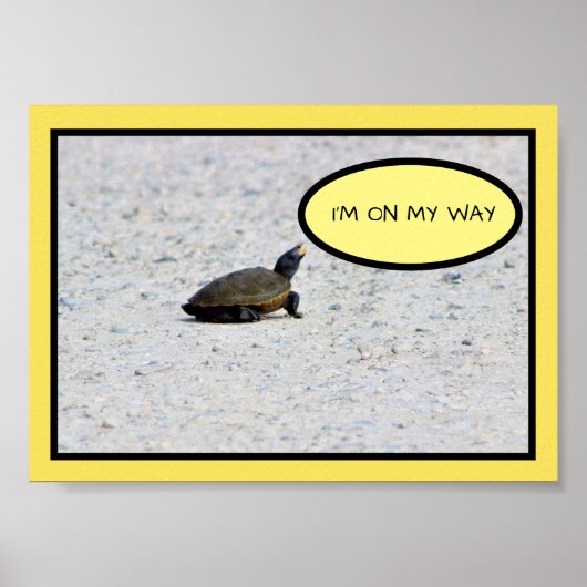 Funny Turtle Foto Poster (Vorne)