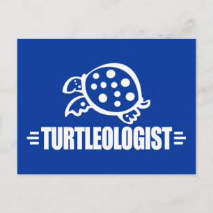 Funny Turtle Postkarte