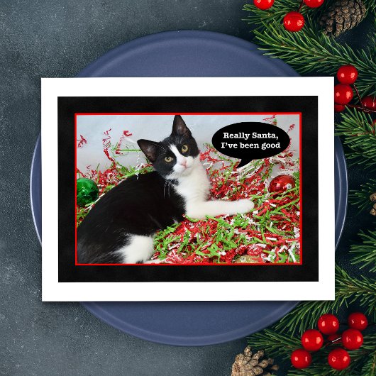 Funny Tuxedo Cat Christmas Postcard Feiertagspostkarte