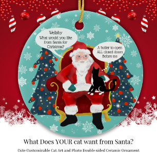 Funny Tuxedo Cat Christmas Wünsche Custom Double Keramik Ornament
