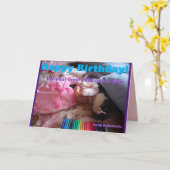 Funny Tuxedo Cat Inner Kind Happy Birthday Card Karte (Gelbe Blume)