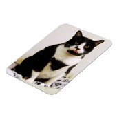Funny Tuxedo Cat Magnet (Linke Seite)