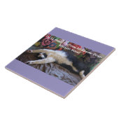 Funny Tuxedo Cat Niedlich machen ein mexikanisches Fliese (Seite)