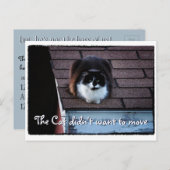 Funny Tuxedo Cat on Roof Moving Ankündigung (Vorne/Hinten)