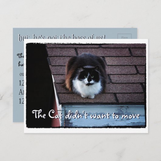 Funny Tuxedo Cat on Roof Moving Ankündigung (Vorne/Hinten)