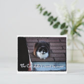 Funny Tuxedo Cat on Roof Moving Ankündigung (Stehend Vorderseite)