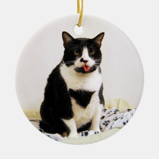 Funny Tuxedo Cat Ornament (Vorne)