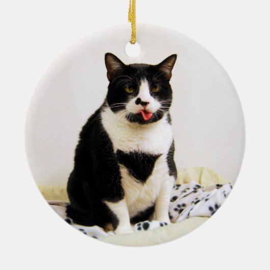 Funny Tuxedo Cat Ornament (Hinten)