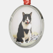 Funny Tuxedo Cat Ornament Aus Metall (Links)