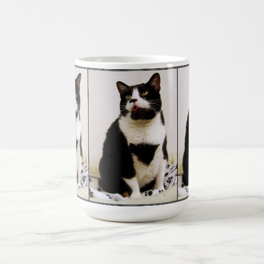 Funny Tuxedo Cat Trio Tasse (Mittel)