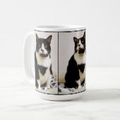 Funny Tuxedo Cat Trio Tasse (Vorderseite Links)