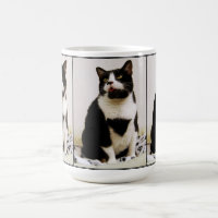 Funny Tuxedo Cat Trio Tasse
