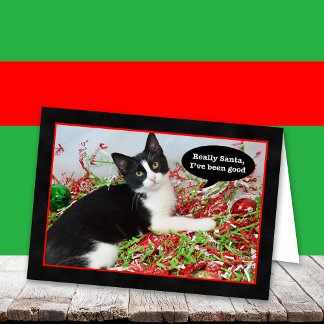 Funny Tuxedo Kitten Cat Christmas Card Feiertagskarte