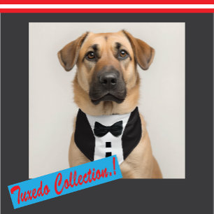 Funny Tuxedo 🎩 Schwarze Krawatte Formal Gepäckanhänger