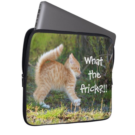 Funny überraschend Ginger Kitten Was für ein Freun Laptopschutzhülle (Vorne Rechts)