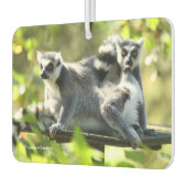 Funny überraschend Lemurs von Madagaskar Autolufterfrischer (Links)