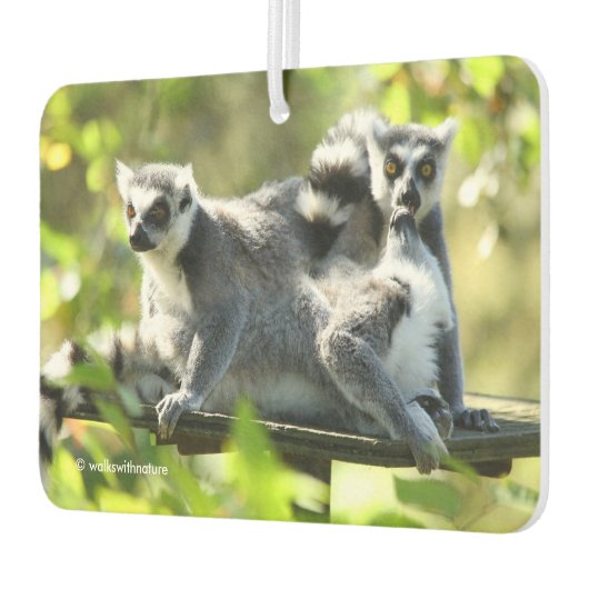 Funny überraschend Lemurs von Madagaskar Autolufterfrischer (Links)