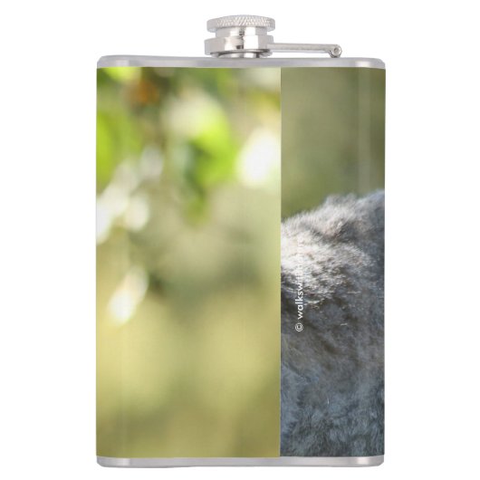 Funny überraschend Lemurs von Madagaskar Flachmann (Rückseite)