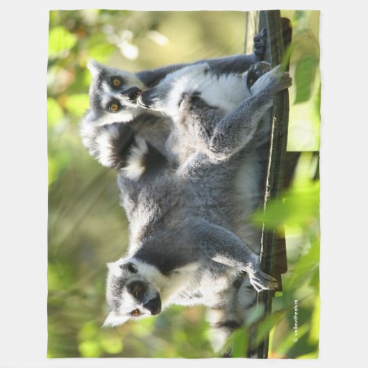 Funny überraschend Lemurs von Madagaskar Fleecedecke (Vorderseite)