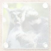 Funny überraschend Lemurs von Madagaskar Glasuntersetzer (Rückseite)
