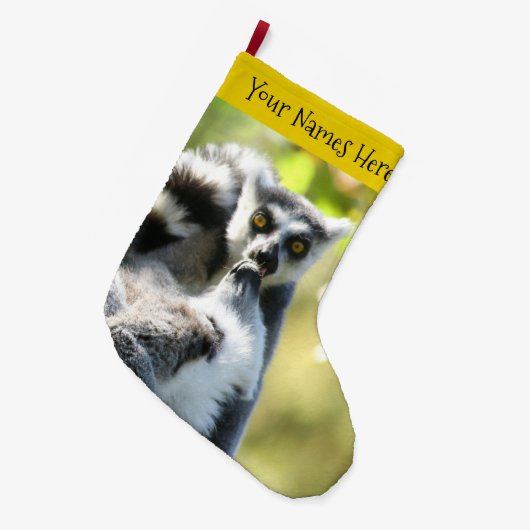 Funny überraschend Lemurs von Madagaskar Großer Weihnachtsstrumpf (Vorderansicht (hängend))