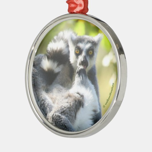 Funny überraschend Lemurs von Madagaskar Ornament Aus Metall (Links)