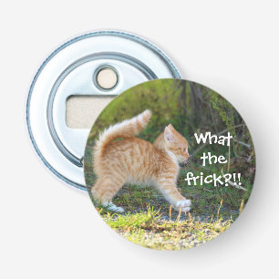 Funny Überraschte Ginger Kitten. Was für ein Frega Flaschenöffner