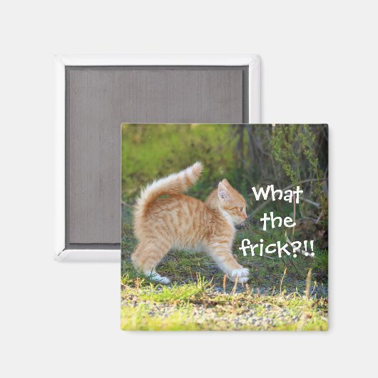 Funny Überraschte Ginger Kitten. Was für ein Frega Magnet (Vorderseite/Rückseite)