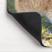 Funny Überraschte Ginger Kitten. Was für ein Frega Mousepad (Ecke)