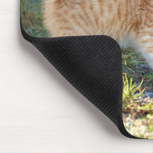 Funny Überraschte Ginger Kitten. Was für ein Frega Mousepad (Ecke)