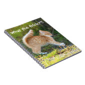 Funny Überraschte Ginger Kitten. Was für ein Frega Notizblock (Rechte Seite)