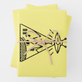 Funny Ufo ,Area 51, Alien Abduction Geschenkpapier Set (Beispiel)