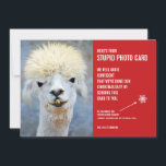 Funny Ugly Llama Weihnachts-Weihnachtsfoto-Karte Feiertagskarte<br><div class="desc">Schicken Sie Lächeln in dieser Urlaubssaison mit diesen unglaublich witzig Weihnachtskarten! Wir alle wissen, dass wir zu Weihnachten Fotokarten verschicken sollten - es ist schließlich die kulturell akzeptierte Praxis. Nun, diese Karten sagen: "Hier ist deine blöde Fotokarte", und sie beinhalten Foto eines ziemlich hässlichen Lamas (aber völlig niedlich auf seine...</div>