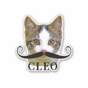 Funny Upload Cat Face Foto & Name mit Mustache Aufkleber