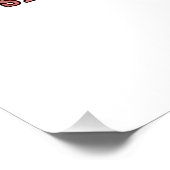 Funny US Flag Patriotic Poster (Ecke)