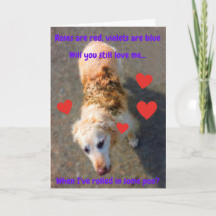 Funny Valentine Hund rollte ein... Karte