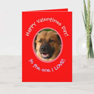 Funny Valentine vom Hund bis zum Besitzer Fotokart Karte