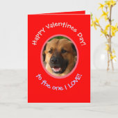 Funny Valentine vom Hund bis zum Besitzer Fotokart Karte (Gelbe Blume)