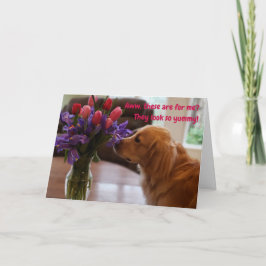 Funny Valentine's card, Hund isst Blume Karte