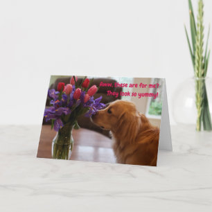 Funny Valentine's card, Hund isst Blume Karte
