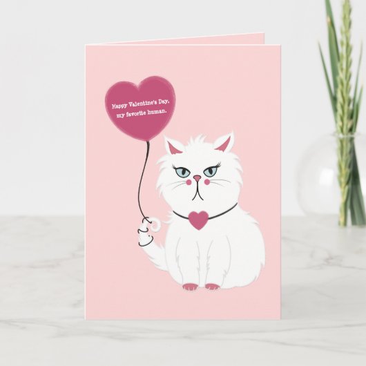 Funny Valentine's Day Grumpy White Cat Flat Card Karte (Vorderseite)