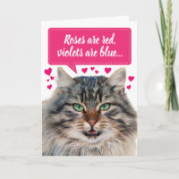 Funny Valentine's Day Maine Coon Cat individuell a