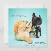 Funny Valentinstag Card - Hundewaschkarte Feiertagskarte (Vorderseite)