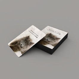 Funny verängstigt Kitten Face Cat Meme Spielkarten