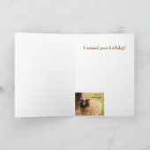 Funny vergessene Schafe Geburtstag Karte (Innenseite)