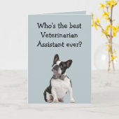 Funny Veterinarian Asst Thank You  Boston Terrier Karte (Gelbe Blume)