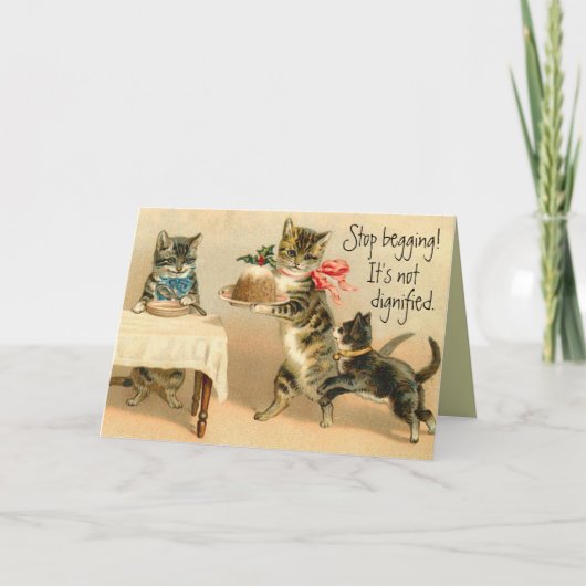 Funny Vintag Cat Christmas Card Feiertagskarte (Vorderseite)