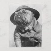 Funny Vintag Dog Wear Militärhelm Postkarte (Vorderseite)