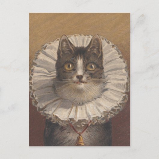Funny Vintag Edwardian Cat Postcard Postkarte (Vorderseite)