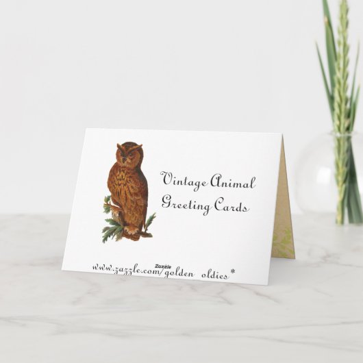 Funny Vintag Frogs Karte (Rückseite)